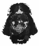 Darth-Vader.gif